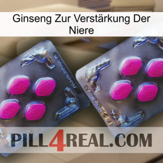 Ginseng Zur Verstärkung Der Niere 01